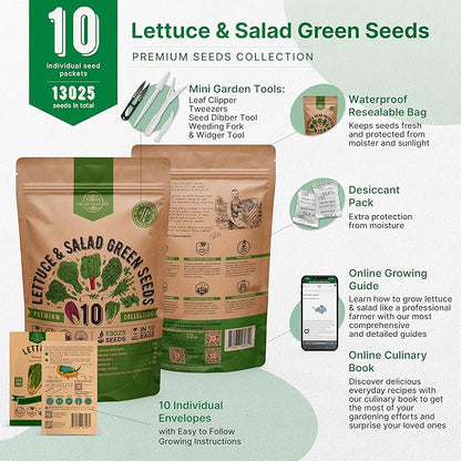 Organo Republic 10 Lettuce &amp; Salad Greens Seeds Variety Pack 13000+ Non-GMO Heirloom Lettuce Seeds for Planting Indoors &amp; Outdoors Garden, Hydroponics - Arugula, Radicchio, Kale, Spinach, Swiss Chard
