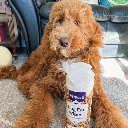 Petpost | Large Dog Ear Cleaner Wipes - Ultra Soft XL Cotton Pads in Coconut Oil Aloe Solution - Remedy for Dog Ear Rinse &amp; Cleanser 60 ct.