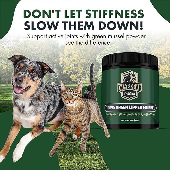 Pure Green Lipped Mussel Powder for Dogs and Cats - 100% New Zealand Green Lipped Mussels - Anti Inflammatory Supplement &amp; Vitamins to Help Your Pet Deal with Arthritis, Joint Pain Relief - 75 Grams