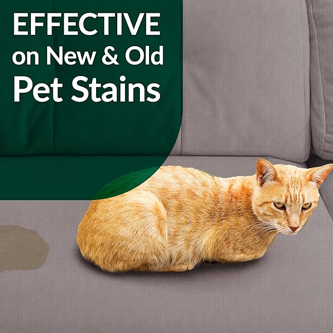 Simple Green Cat Stain &amp; Odor Remover - Enzyme Cleaner for Cat Urine, Feces, Blood, Vomit (32 oz Sprayer &amp; 1 gallon Refill)
