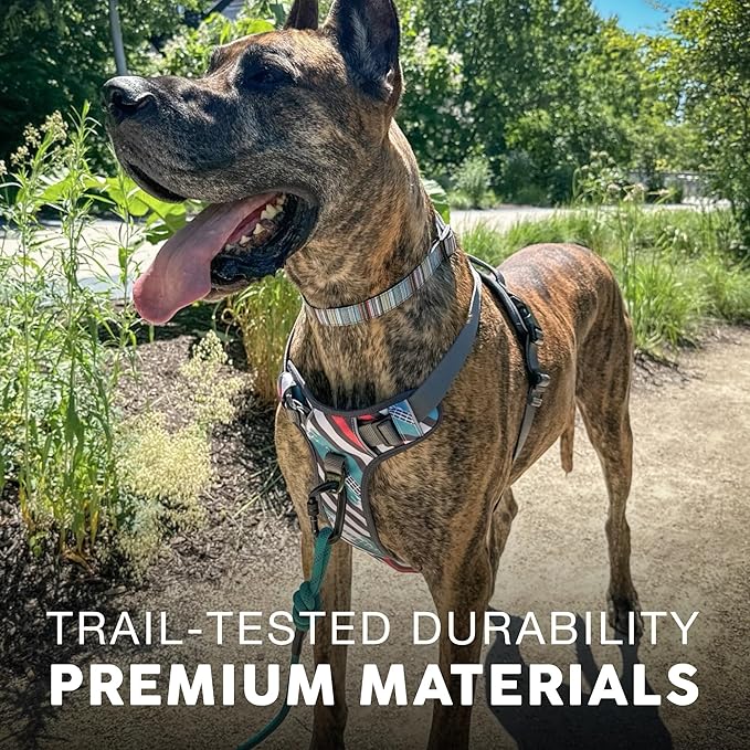 Embark Adventure Dog Harness, Reflective Trim XL Dog Harness for Extra Large Dogs No Pull - Military Grade Nylon, 2 Leash Clips &amp; Gel Lined Handle.