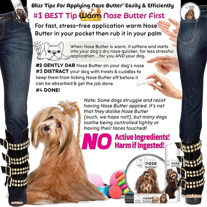 The Blissful Dog Havanese Unscented Nose Butter - Dog Nose Butter, 1 Ounce