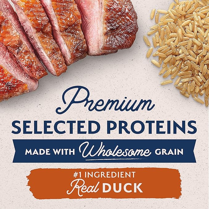 Natural Balance Limited Ingredient Adult Dry Dog Food with Healthy Grains, Reserve Duck &amp; Brown Rice Recipe, 12 Pound (Pack of 1)