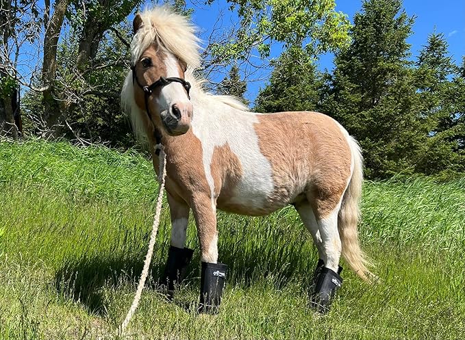 Warrior Fly Boots for Horses - Breathable Mesh Horse Boots for Fly Protection &amp; Leg Comfort - Set of 4 (The Warrior, Neon Orange)