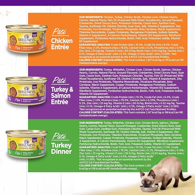 Wellness Complete Health Pate Adult Wet Cat Food, Natural, Protein-Rich, Grain Free, 3 Ounce, 12 Pack, (Chicken &amp; Turkey Favorites Variety Pack)
