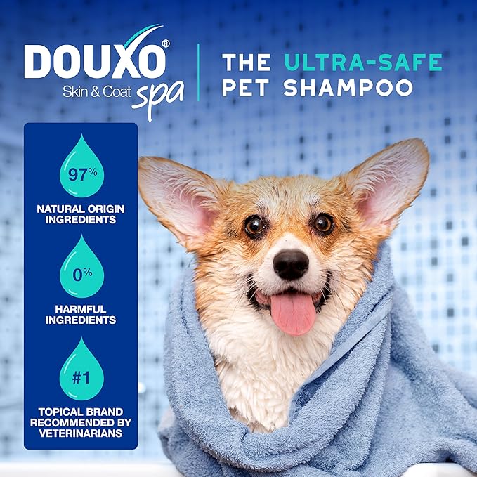 DOUXO® Skin &amp; Coat SPA - Ultra-Safe Odor Control Dog Shampoo for Smelly Dogs, 16 fl oz, Cleans and Hydrates The Skin, Removes Odor, Leaves The Coat Soft and Smelling Great, Skin-Friendly Formula