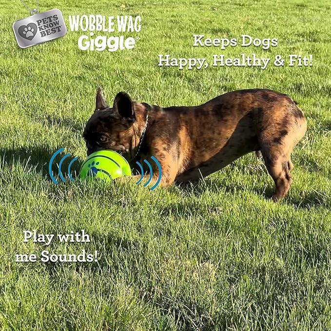 Wobble Wag Giggle Ball | Rolling Enrichment Toy for Fun Playtime, Interactive Play for Indoor or Outdoor, Keeps Dogs &amp; Puppies Large, Medium or Small Busy &amp; Moving, As Seen on TV | Pack of 1