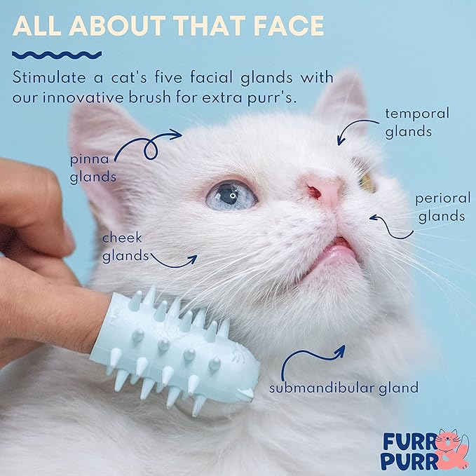 Furr&amp;Purr Cat Brush Set for Indoor Cats - Grooming Tools: Face Scratcher, Calming Massager, and Scratching Pad (2-Pack, Made in the USA)