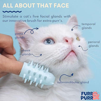 Furr&amp;Purr Cat Brush Set for Indoor Cats - Grooming Tools: Face Scratcher, Calming Massager, and Scratching Pad (2-Pack, Made in the USA)