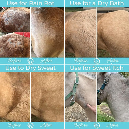 Coat Defense Daily Preventative Powder for Horses - Safe &amp; Effective Equine Sweet Itch, Skin Funk, Scratches, &amp; Rain Rot Treatment - Dry Shampoo for Horses, 8 oz Formula with All Natural Ingredients