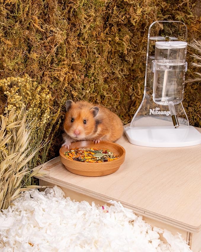 Niteangel Golden Hamster Food &amp; Treats - Small Animal Natural Food for Syrian Golden Hamsters or Other Small-Sized Pets