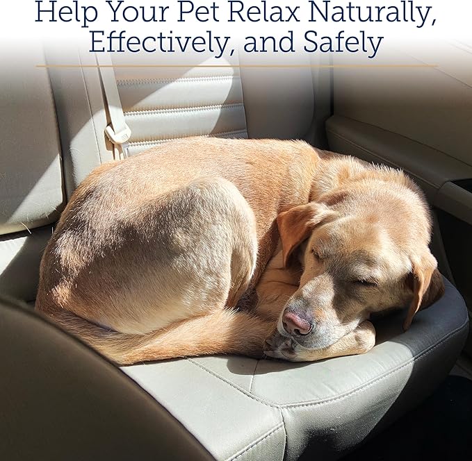 Rx Vitamins Liquid NutriCalm Cat &amp; Small Dog Anxiety Relief - Sleep Aid - Calming Supplement - Dog Bark Control &amp; Stress Relief - Salmon Flavor - 4 oz