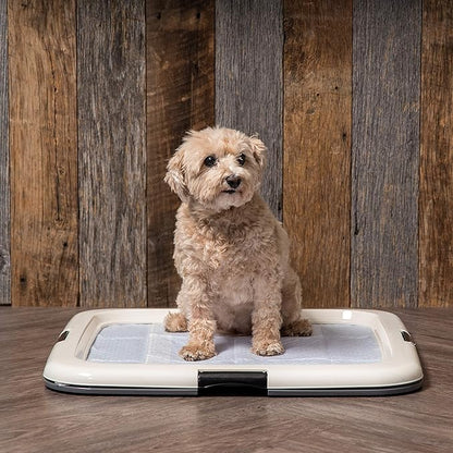 IRIS USA Pee Pad Holder - For Potty Training Regular Sized Dog &amp; Puppy Pee Pads, Secured Latches, Non-Skid Feet, Leak Protection, Fits 22"x22" Pad or Larger, Square, Dark Gray