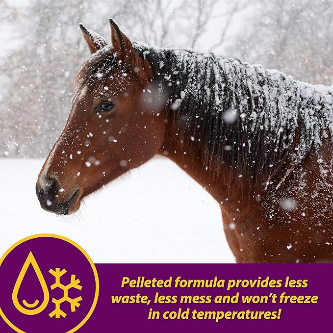 Farnam Horse Health Red Cell Pellets, Vitamin-Iron-Mineral Supplement for Horses, Helps Fill Important Nutritional Gaps in Horse&