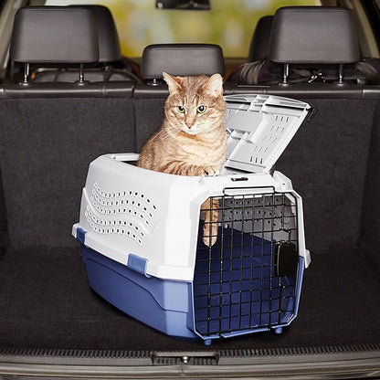 Amazon Basics 2-Door Top-Load Hard-Sided Dogs, Cats Pet Travel Carrier, Gray &amp; Blue, 22.8"L x 15.0"W x 13.0"H