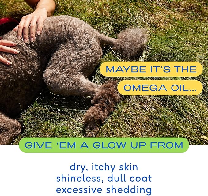 Native Pet Omega Oil for Dogs &amp; Pumpkin for Dogs | Dog Fish Oil Supplements | All-Natural, Organic Pumpkin Fiber for Dogs | 8 Oz. Omega Oil &amp; Pumpkin Powder