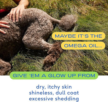 Native Pet Omega Oil for Dogs &amp; Pumpkin for Dogs | Dog Fish Oil Supplements | All-Natural, Organic Pumpkin Fiber for Dogs | 8 Oz. Omega Oil &amp; Pumpkin Powder