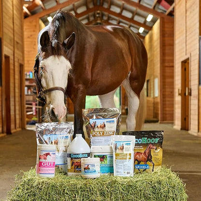 Uckele by SmartEquine EquiBase Grass Pellets | Horse Vitamins &amp; Minerals Supplement, Forage Balancer | Horses in Light to Moderate Work | 45 lb Bucket