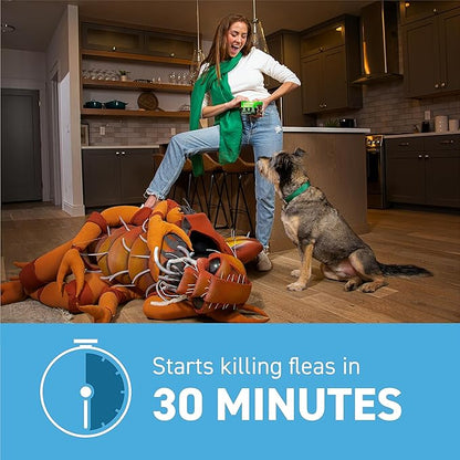 Capstar(nitenpyram) for Dogs Fast-Acting Oral Flea Treatment for Dogs 2-25 lbs, Vet-Recommended Medication Tablets Start Killing in 30 Minutes, 12 Doses