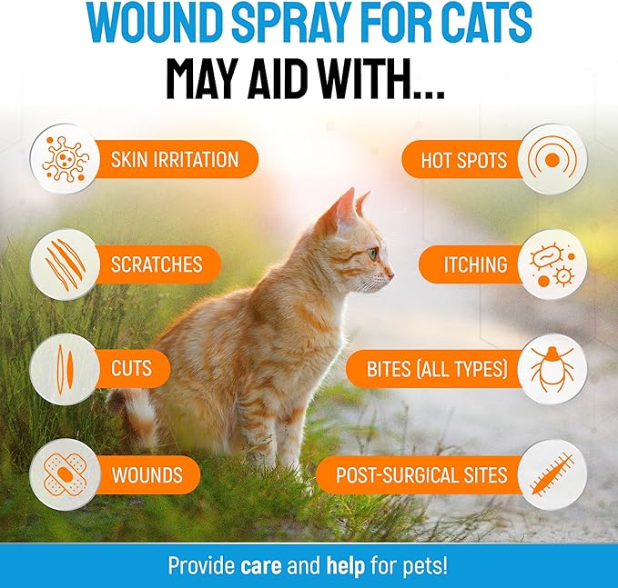 Cat Wound Care Spray with Silver – Wounds, Rashes, Hot Spots, Itch, Scratching, Irritation, Bites &amp; Burns – Use a Cat Cone to Prevent Licking – Safe Formula – 4 Oz