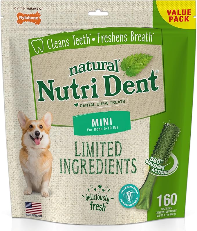 Nylabone Nutri Dent Dog Dental Chews - Natural Dog Teeth Cleaning &amp; Breath Freshener - Dental Treats for Dogs - Fresh Breath Flavor, Mini (160 Count)