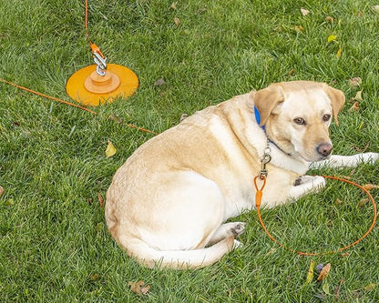 25FT Tie-Out Cables for Dogs - Strong, Safe, and Durable Dog Tie-Outs for Every Breed up to 125 Pounds - Weather and Wear Resistant Galvanized Aircraft Cable for Outside Use