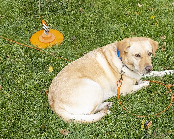60FT Tie-Out Cables for Dogs - Strong, Safe, and Durable Dog Tie-Outs for Every Breed up to 250 Pounds - Weather and Wear Resistant Galvanized Aircraft Cable for Outside Use