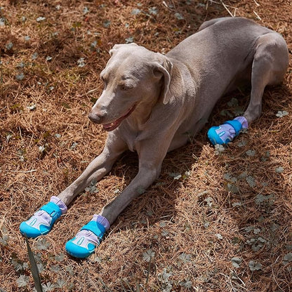 Dog Shoes, Waterproof Dog Boots &amp; Paw Protectors with Anti-Slip Sole, 4pcs/Set Pet Dog Booties, Reflective Dog Shoes for Small Medium Large, Winter Snowy Summer Hot Pavement (Blue, 5