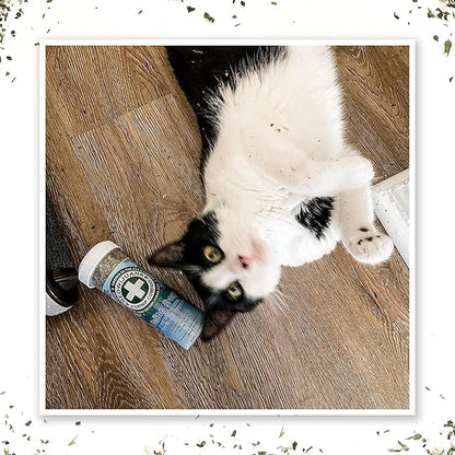 Meowijuana | Feline Frost Catnip Holiday Blend | Premium Organic Catnip | Grown in North America | Perfect for Cat Toys | Fresh Catnip for Extended Playtime