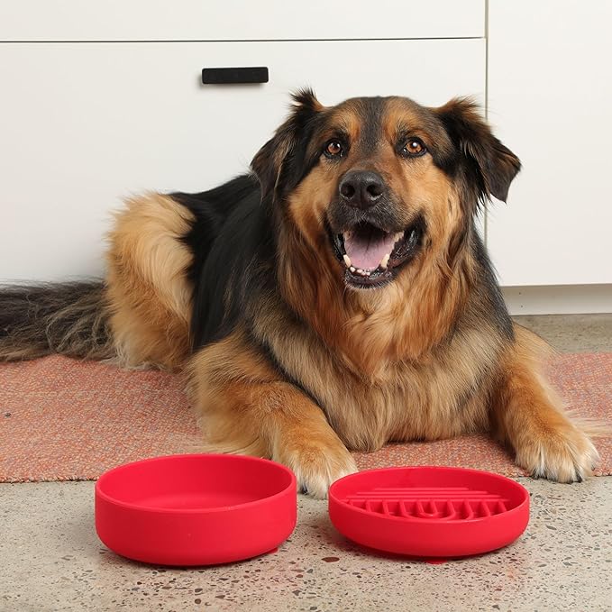 The Slowdown Bowl Silicone Slow Feeder for Dogs &amp; Puppies, Slow Eating, Modern Lick Mat Design, Reduces Gulping, Fits 2 Cups 7.5” Across x 1.5” Tall, Mealtime Challenge, Medium-Cherry