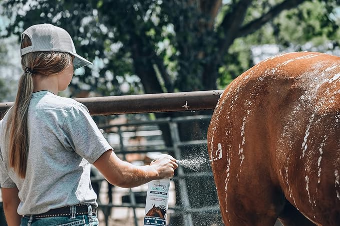 Vetericyn FoamCare Horse Shampoo - Equine Instant Foam Sprayable Shampoo with Aloe to Promote Healthy Skin and Coat, Paraben Free, Cleans, Moisturizes, and Conditions Horse&