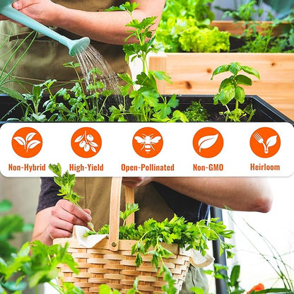 Open Seed Vault 4,000 Non GMO Heirloom Vegetable Seeds for Planting Vegetables and Fruits - 12 Variety Pack of Herb Seeds for Planting Outdoors - Gardening Supplies, Survival Gear, Prepper Kits