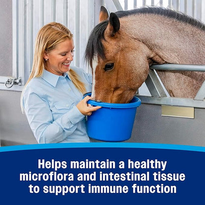 Farnam Hindgut Stabilizer Pellets, Daily Digestive &amp; Immune Supplement for Horses Helps Maintain a Balanced Microbiome for Optimal Digestion