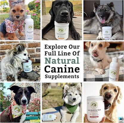 Wholistic Pet Organics Canine Complete - Dog Multivitamin Powder - 2 Lb - Daily Dog Vitamins and Supplements for Homemade Food - Immune System, Skin, Coat &amp; Overall Health - Small and Large Breed