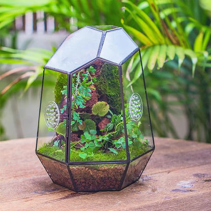 NCYP Closed Geometric Glass Enclosure with Front Opening Door &amp; 2 Vent Holes for Insects, Succulent, Cacti - 7.9"x6.9"x9.8" Black Irregular Terrarium Planter - Home Garden Tabletop Decor (No Plants)