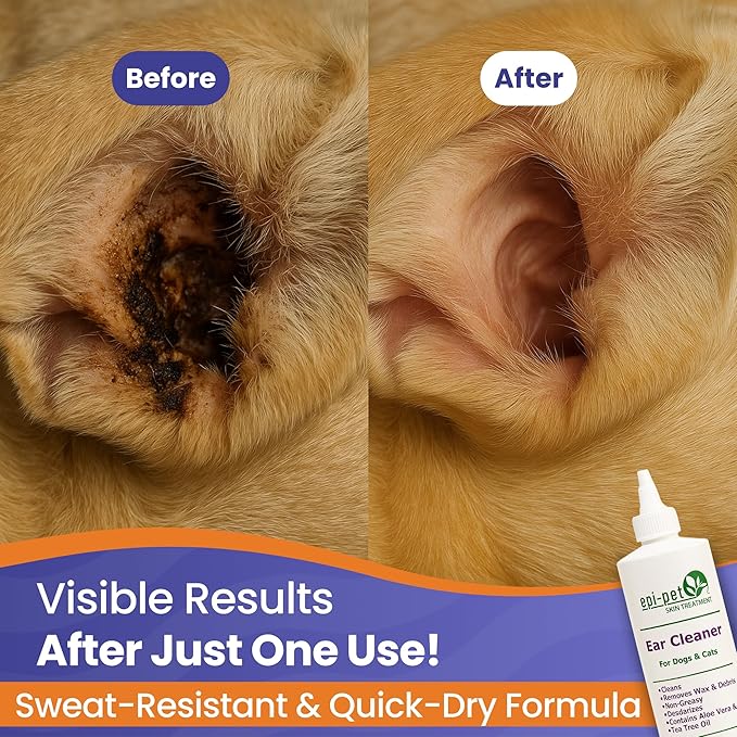 Dog &amp; Cat Ear Cleaner Solution with Aloe Vera &amp; Tea Tree Oil – Removes Itchy Ear Wax, Debris, Odor – Ears Wash, Drops &amp; Flush for Pets, Dog Ears Cleaning, Cat Cleaner (16 oz- Pack of 2)