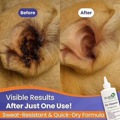 Dog &amp; Cat Ear Cleaner Solution with Aloe Vera &amp; Tea Tree Oil – Removes Itchy Ear Wax, Debris, Odor – Ears Wash, Drops &amp; Flush for Pets, Dog Ears Cleaning, Cat Cleaner (16 oz- Pack of 2)