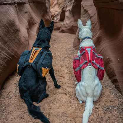 Kurgo Dog Saddlebag Backpack, Back Pack Dog Harness, Hiking Pack for Dogs, Packs for Pets to Wear, Camping &amp; Travel Vest Harness, Reflective, Lightweight, Baxter Pack for Medium &amp; Large Pets