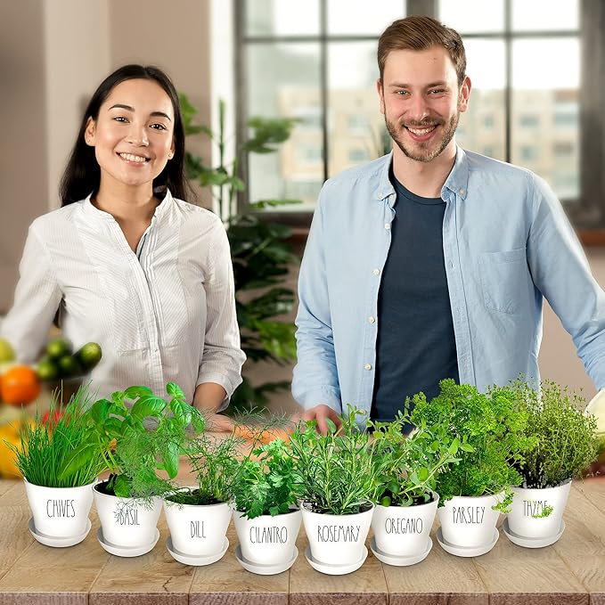 Deluxe Indoor &amp; Outdoor Herb Garden Kit – 8 or The Most Popular Culinary Herbs with Pots &amp; Soil for Windowsill or Patio Growing