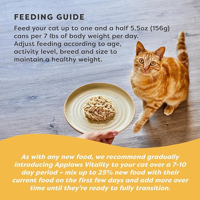 Applaws Vitality Wet Cat Food in Broth, Natural Canned Cat Food, Wet Food for Cats with Added Vitamins and Minerals, Grain and Carrageenan Free, Tuna Fillet &amp; Salmon in Broth (24 Count, 5.5oz Cans)