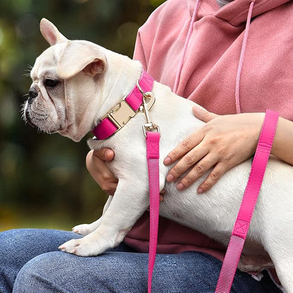 PET ARTIST Soft PU Leather Dog Collar, Bright &amp; Stylish Hot Pink Dog Collar Girl with Quick Release Rose Metal Buckle, Nylon Padded Durable Pet Collars Adjustable for Small Dogs, Neck Fit 9-14"