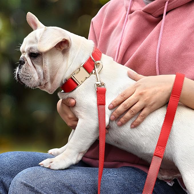 PET ARTIST Soft PU Leather Dog Collar, Bright &amp; Classic Red Dog Collar with Quick Release Rose Metal Buckle, Adjustable Nylon Padded Durable Pet Collars for Small Dogs Girl, Neck Fit 9-14"