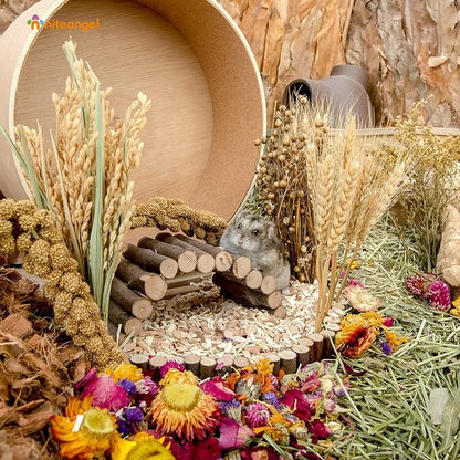 Niteangel Natural &amp; Soft Hamster Bedding Mate Small Animal Habitat Decor for Syrian Dwarf Hamsters Gerbils Mice Degus Bunny or Other Small-Sized Pet