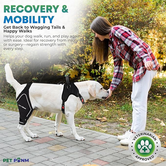 Comfortable Dog Knee Brace for Both Hind Legs with Harness - for ACL Tear, Luxating Patellae, Osteoarthritis &amp; Instability - for Recovery &amp; Injury Prevention in Active/Aging Dogs - (XSmall)