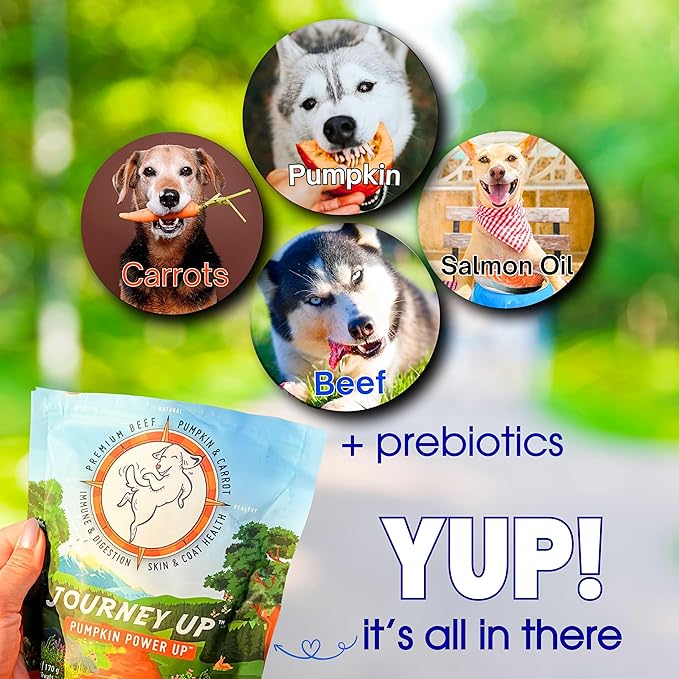 HappyTails Journey Up, Pumpkin Power Up Jerky Treats for Dogs with Beef, Pumpkin &amp; Carrots-Made in USA-Prebiotics for Gut &amp; Immune Health, Omega 3 &amp; 6 for Skin &amp; Coat, Small-Large Dogs, 6 oz.