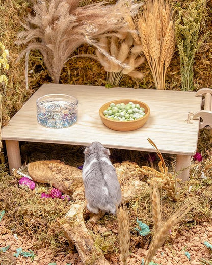 Niteangel Hamster Snack &amp; Treats Toy - Small Animal Natural Treat for Dwarf Syrian Robo Hamsters Gerbils Mice Lemmings Degus or Other Small-Sized Pets