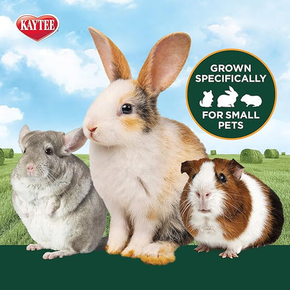 Kaytee All Natural Timothy Hay Plus Marigolds for Guinea Pigs, Rabbits &amp; Other Small Animals, 24 Ounce