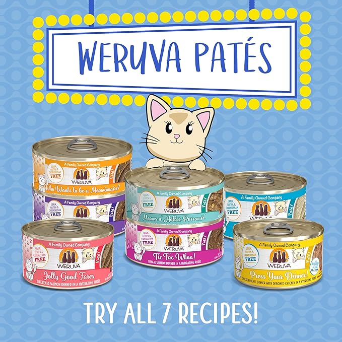 Weruva Classic Cat Paté, Who Wants to be a Meowionaire? with Chicken &amp; Pumpkin, 5.5oz Can (Pack of 8)