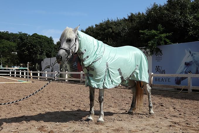 Horse Fly Sheet with Detachable Neck Cover &amp; Belly Wrap, Adjustable Fly Sheet for Horses, Ventilated Airflow Mesh Equine Cooling Summer Flysheet Green 84