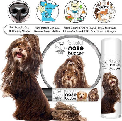 The Blissful Dog Havanese Nose Butter for Dry, Cracked Skin, Lick-Safe Dog Nose Balm with Moisturizing Shea Butter, Almond, Olive, and Essential Oils, Pet Supplies, Uncented, 8 oz.
